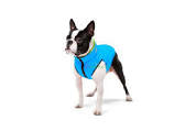 AiryVest Double-sided jacket for dogs S30 Light blue-Lime Sale